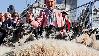 Mary Berry et son troupeau de moutons sur le London Bridge
