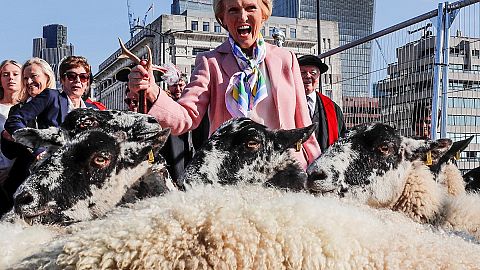 Pflege alter Traditionen