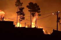 Portuguese children launch crowdfund bid after forest fires