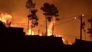Πορτογαλία: Προσφυγή παιδιών στο ΕΔΑΔ μέσω ΜΚΟ για τις πυρκαγιές