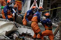 Dog found alive in rubble of Mexican quake