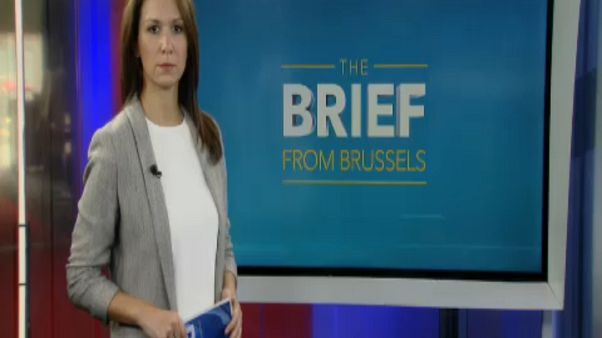 The Brief from Brussels: Almanya'daki seçimler AB'yi nasıl etkileyecek? The Brief from Brussels: Almanya'daki seçimler AB'yi nasıl etkileyecek?