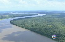 Un respiro para la gran reserva del Amazonas