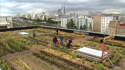 Quand les facteurs parisiens cultivent leur jardin