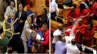 [Photos] Africa's chaotic parliaments: Uganda, South Africa