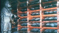 Russia 'destroys chemical arsenal'