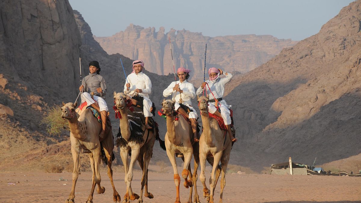 بعد الأبقار من السعودية.. الإمارات تعيد مئات الجمال إلى قطر
