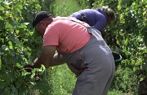 Los intermediarios encarecen el coste de los trabajadores desplazados