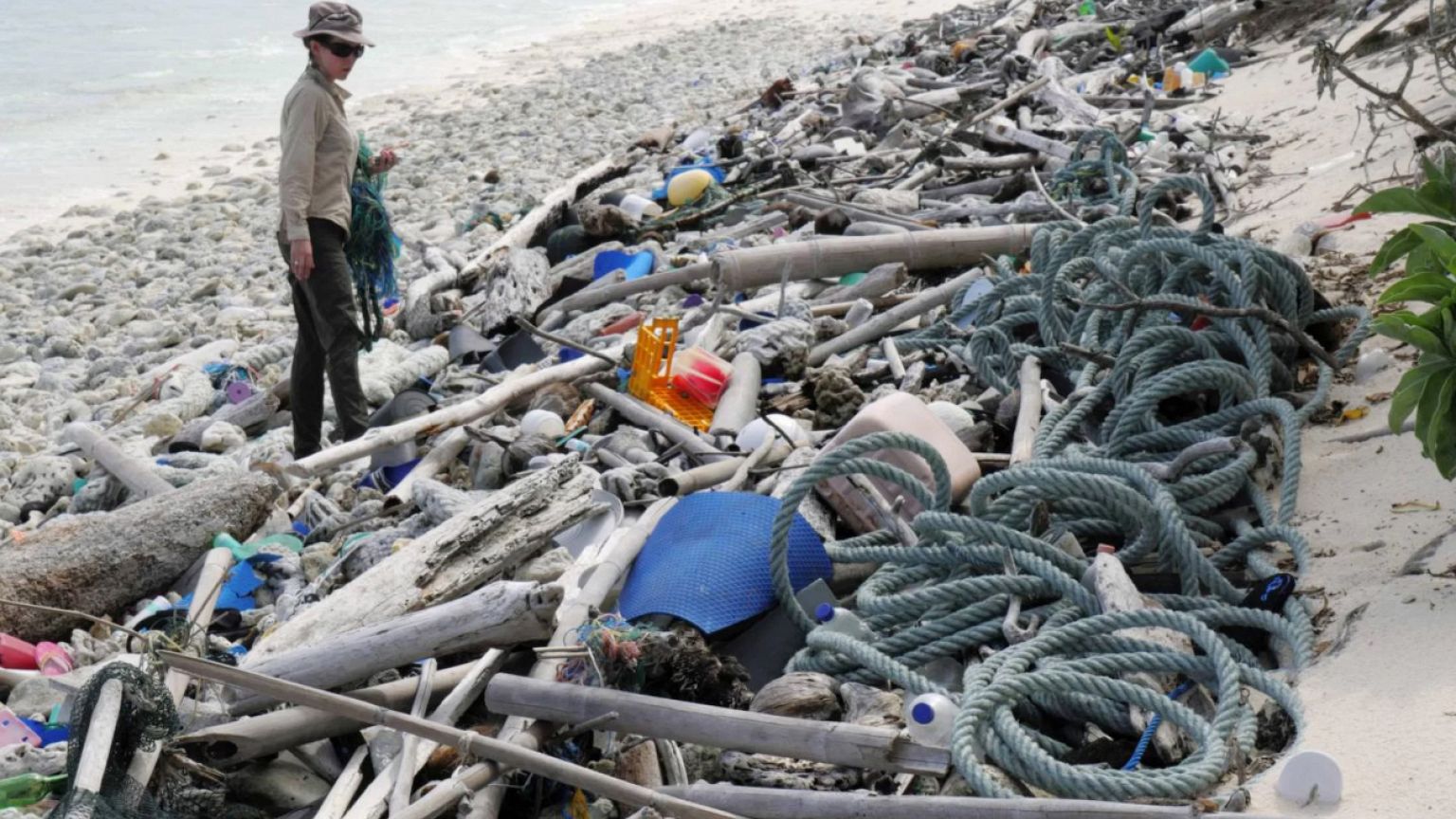 Lead author Jennifer Lavers looks out at the plastic debris covering a Coco