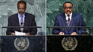 'Ethiopia had to back Eritrea sanctions lifting as head of UNSC'