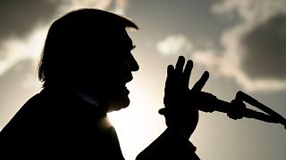 Image: President Donald Trump speaks during a campaign rally in Montoursvil