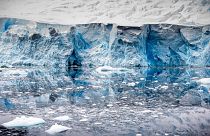 Image: Icebergs in Antarctica in 2015.
