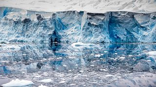 Image: Icebergs in Antarctica in 2015.
