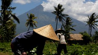 Bali volcano evacuees prepare for eruption