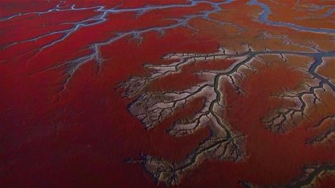 China's extraordinary Red Beach