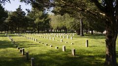 Image: A cemetery with headstones.