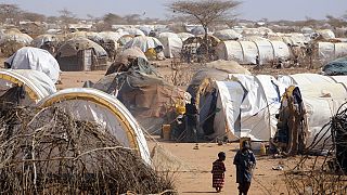 UN cuts food rations for refugees in Kenya by 30 percent