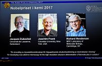 British scientist Richard Henderson among trio awarded 2017 Nobel chemistry prize