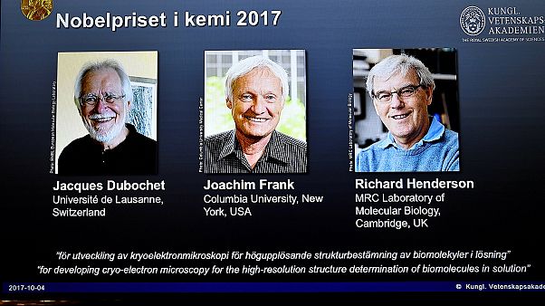Il Nobel per la chimica agli inventori del crio-microscopio 3d Il Nobel per la chimica agli inventori del crio-microscopio 3d