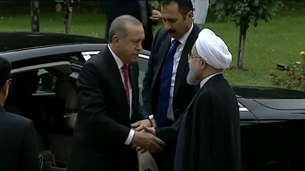 Rohaní y Erdogan se reúnen en Teherán para mostrar su oposición al referéndum del Kurdistán iraquí Rohaní y Erdogan se reúnen en Teherán para mostrar su oposición al referéndum del Kurdistán iraquí