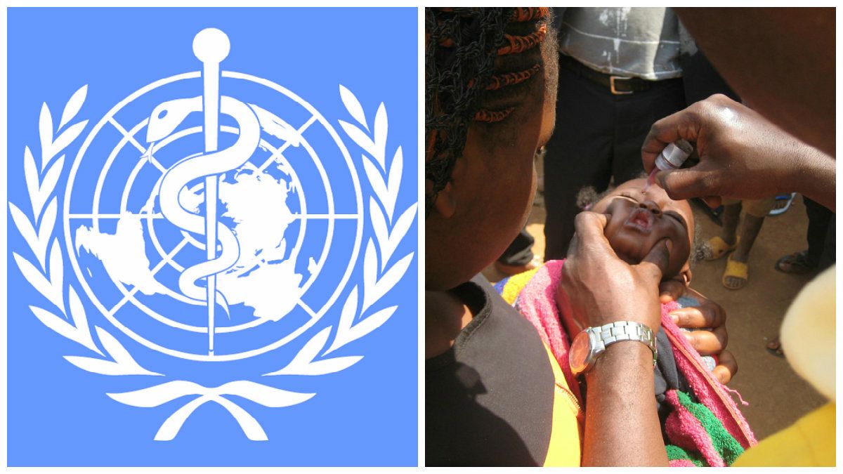 برنامه سازمان جهانی بهداشت در راستای کاهش شیوع وبا