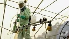 Glyphosat-Krise: Monsantos US-Kläger bei Brüsseler Anhörung