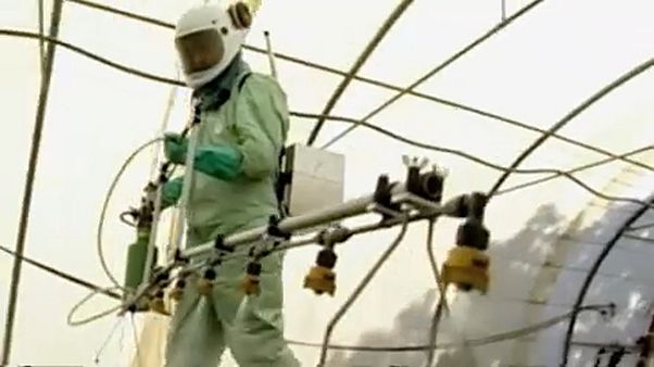 غليفوسات..المتضررون في بروكسل لطرح قضاياهم أمام المفوضية الأوروبية غليفوسات..المتضررون في بروكسل لطرح قضاياهم أمام المفوضية الأوروبية