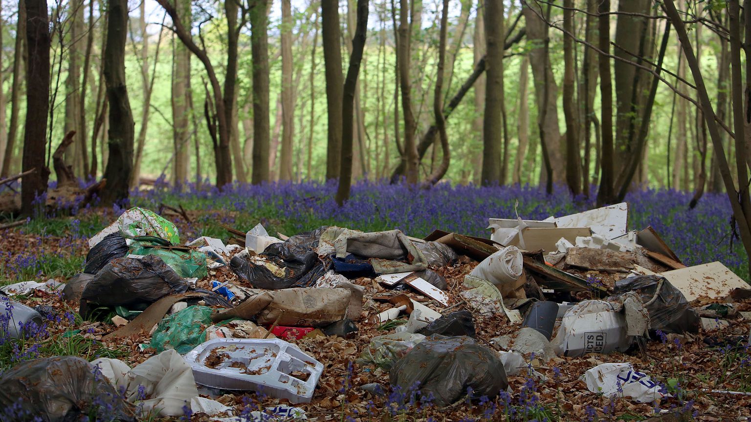 Bluebells grow near piles of trash dumped near the Brocket Hall Estate