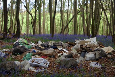 Bluebells grow near piles of trash dumped near the Brocket Hall Estate, which is located around 22 miles north of central London.