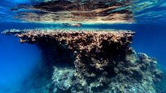 Meereskonferenz "Our Ocean" in Malta