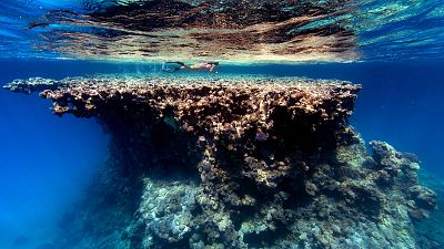 Our Ocean: Παγκόσμια διάσκεψη για την σωτηρία των ωκεανών