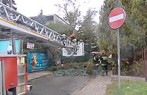 Hurricane wreaks havoc in Poland