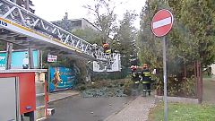 Hurricane wreaks havoc in Poland