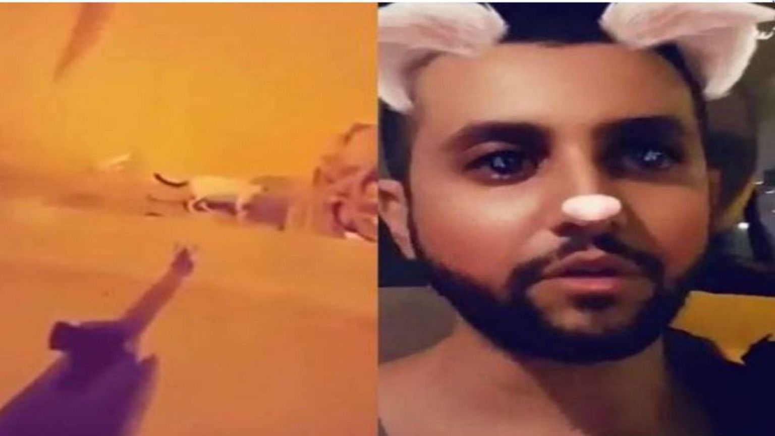 الحكم على سفاح القطط في جدة بالسجن والغرامة