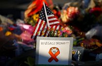 Public urged to help solve mystery behind Las Vegas massacre