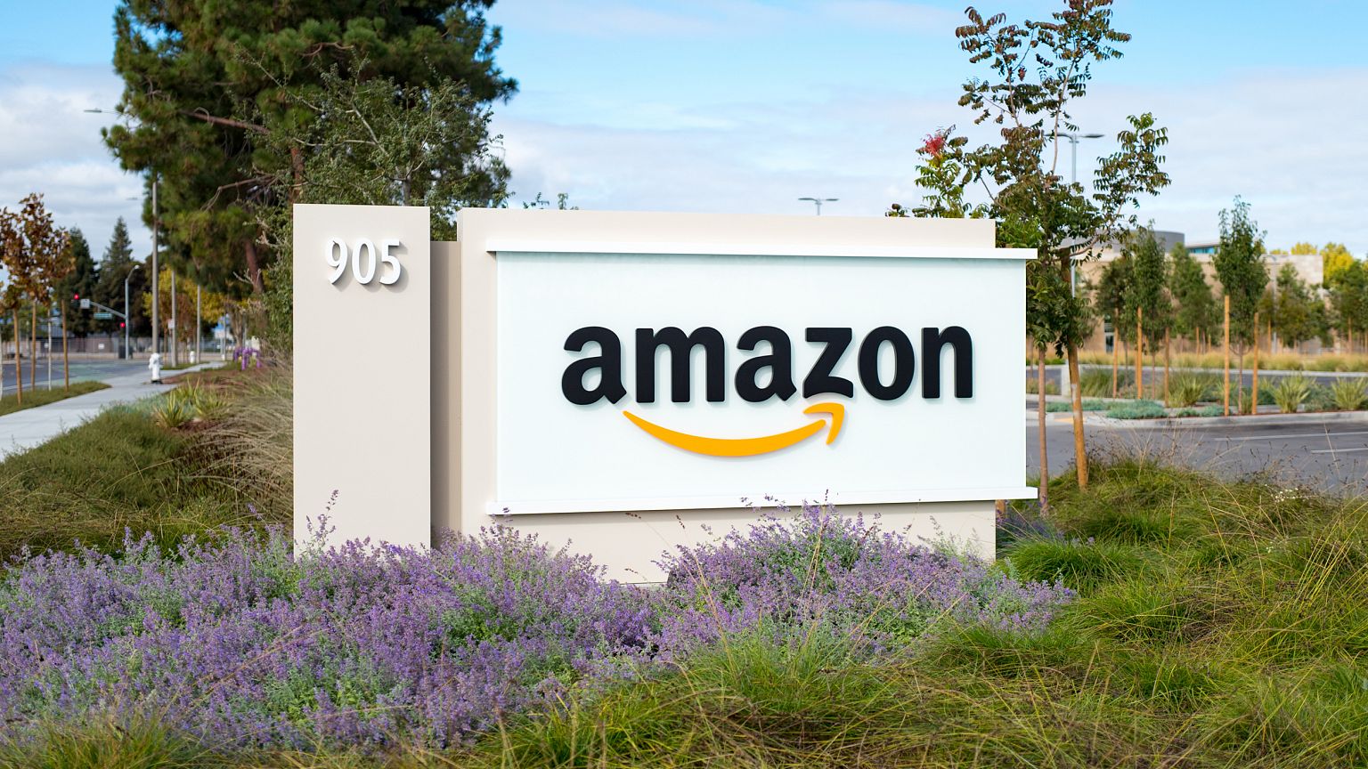 Image: Amazon