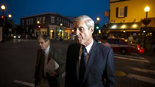 Image: Robert Mueller