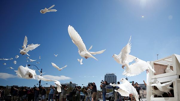 بنس يزور لاس فيغاس المكلومة بنس يزور لاس فيغاس المكلومة