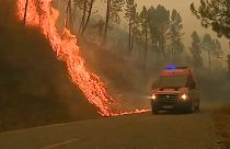 Eleven active wildfires rage in Portugal