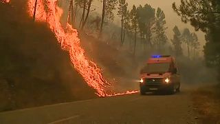 Seis grandes incendios queman Portugal