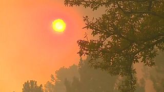 Португалия: аномальная жара и лесные пожары