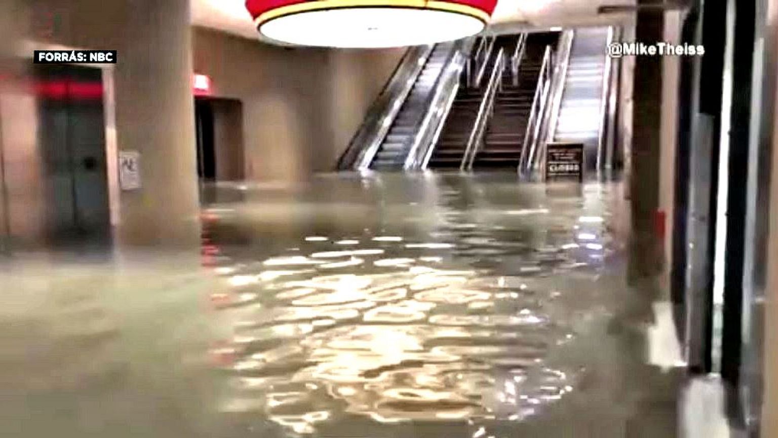 Tempestade "Nate" deixa rasto de alforrecas à entrada do Alabama