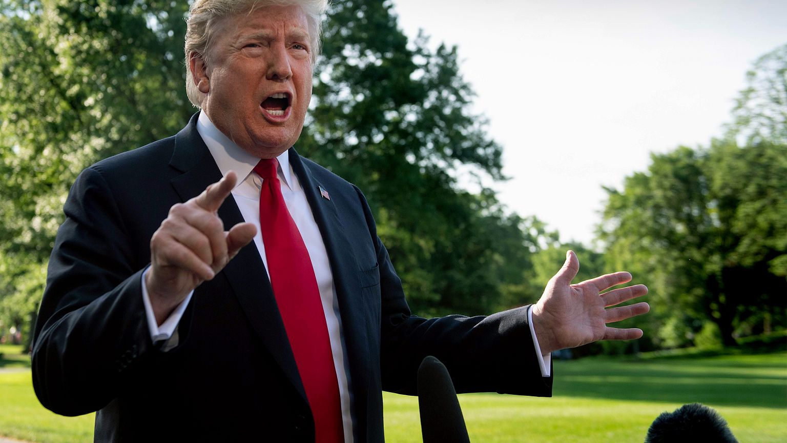 Image: Donald Trump