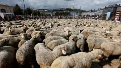 Farkast kiáltanak a francia gazdák