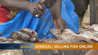 Digital solution to buying Fish in Senegal [The Morning Call]