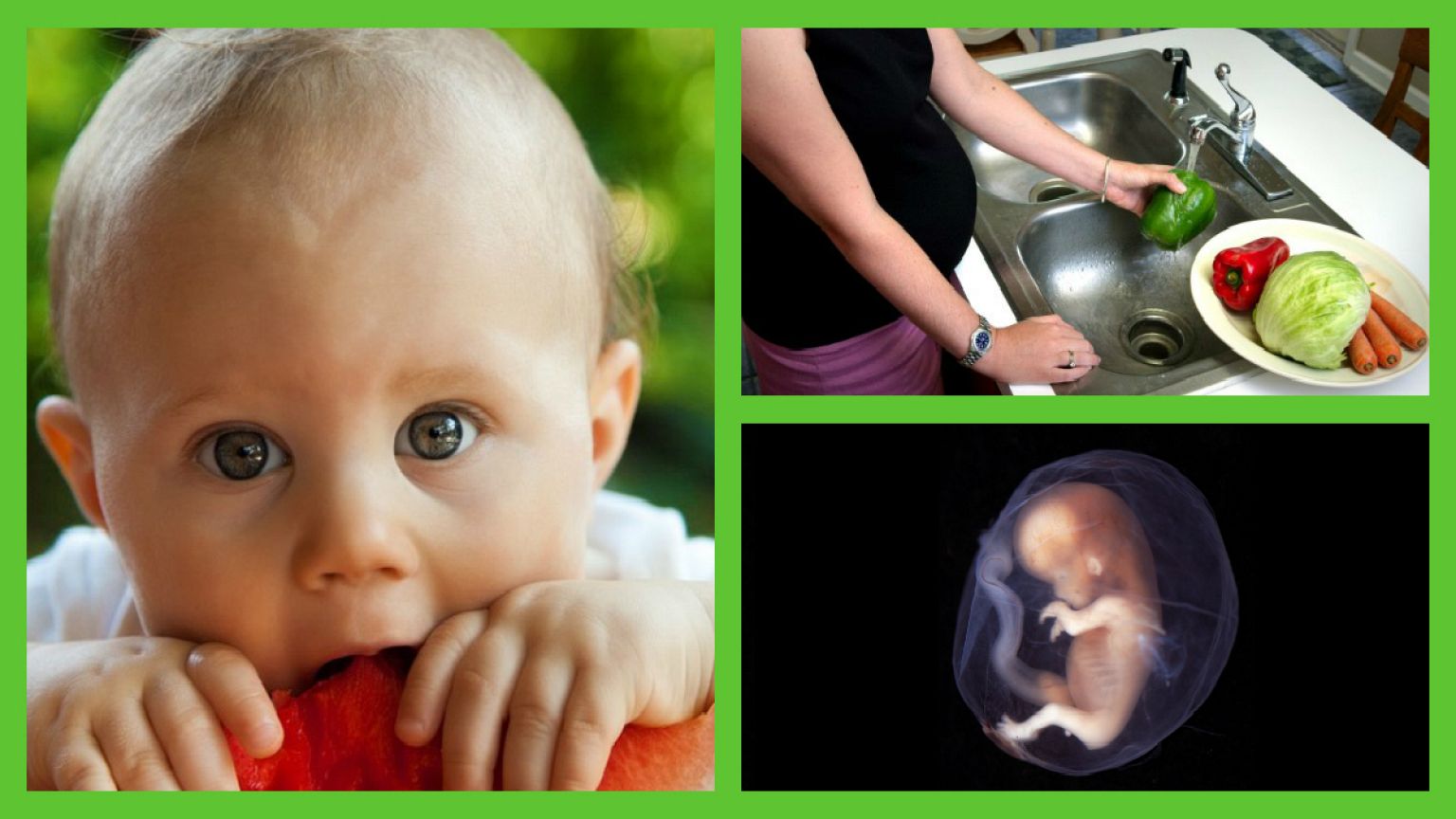 دانشمندان: ذائقه و سلیقه غذایی در رحم مادر شکل می‌گیرد