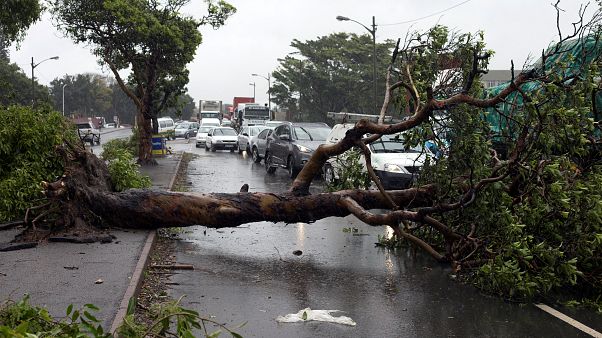 Pelo menos três mortos por tempestades nas regiões de Durban e Joanesburgo Pelo menos três mortos por tempestades nas regiões de Durban e Joanesburgo