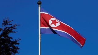 Exclusive: N. Korea targeted US power companies