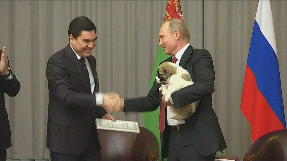 Putin e o cachorrinho
