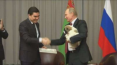 Ismét kutyát kapott Putyin